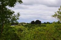 Blick zum Dolmen von Newgrange