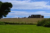 Ruine des Bischofspalasts am Mussenden Temple