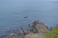 Giant's Causeway