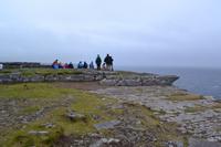 Klippen bei Dun Aengus