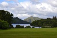 Muckross Park, Killarney