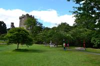 Blarney Castle