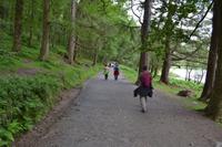 Wanderung durch den Glendalough National Park