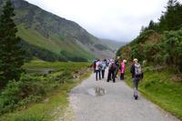 Wanderung durch den Glendalough National Park