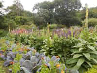  im Glenveagh Nationalpark