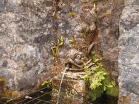   Wasserspeier in Glenveagh