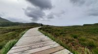 124 – Connemara, Diamond Hill