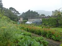 022-Glenveagh_Castle