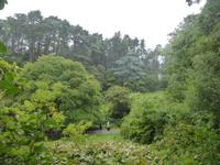 024-Glenveagh_Castle