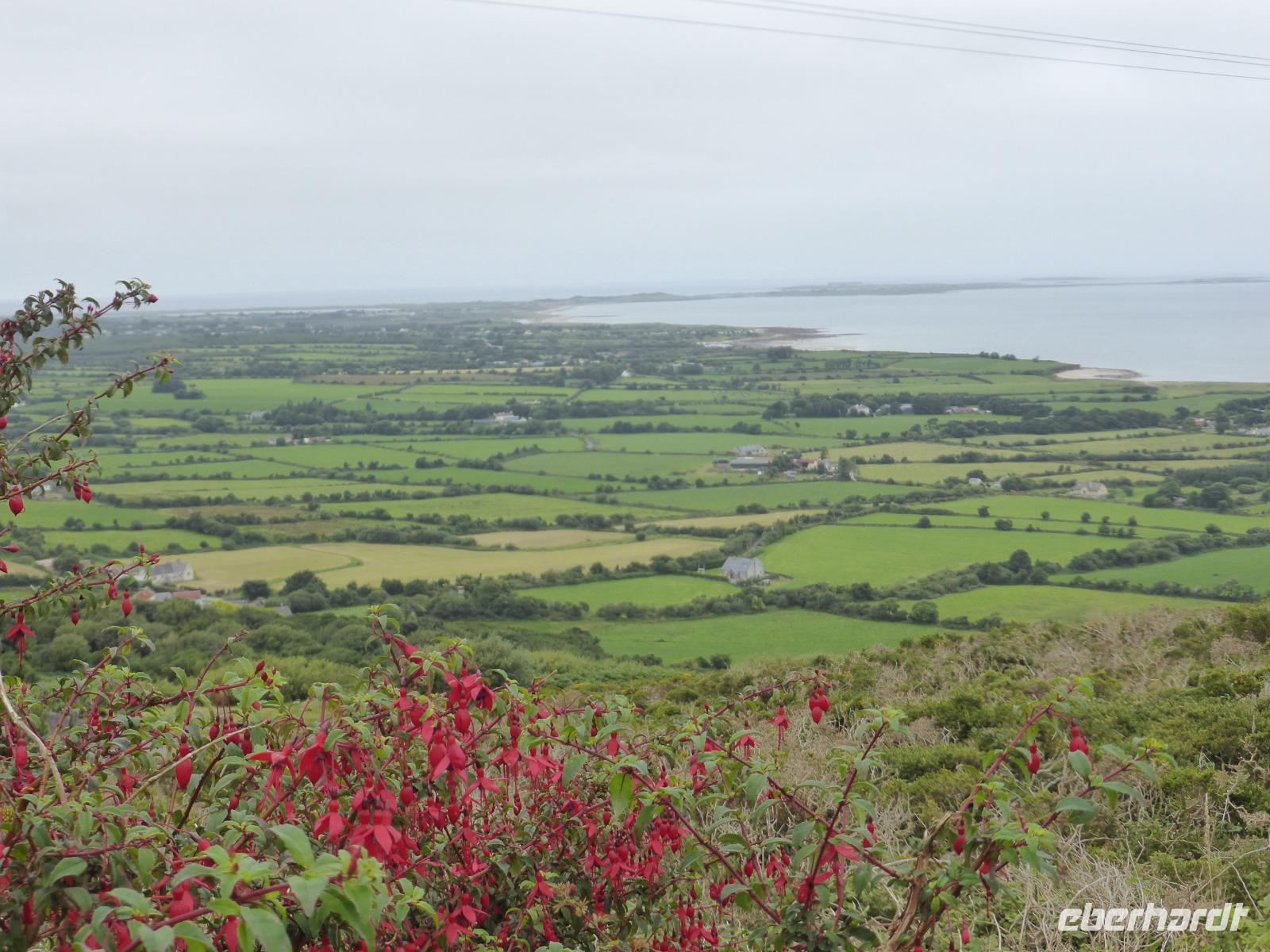 103-Dingle_Peninsula