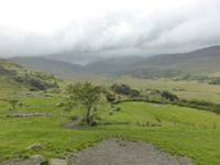 123-Kissanes_Sheepfarm