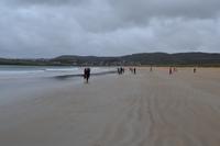 Strand bei Dunfanaghy - Sheephaven Bay