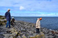 Mittagspause am Seal Viewpoint