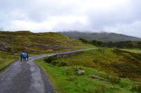Wanderung entlang des Killary Harbour