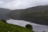 Muschelzucht im Killary Harbour
