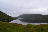 Muschelzucht im Killary Harbour
