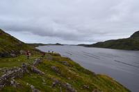 Wanderung entlang des Killary Harbour
