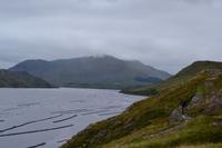 Killary Harbour