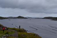 Wanderung entlang des Killary Harbour