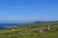 Wanderung durch den Burren