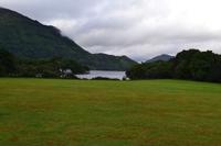 Muckross Park, Killarney National Park