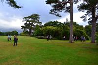Muckross Park, Killarney National Park