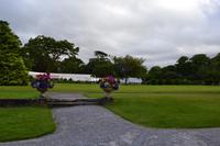Muckross Park, Killarney National Park