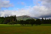 Muckross Park, Killarney National Park