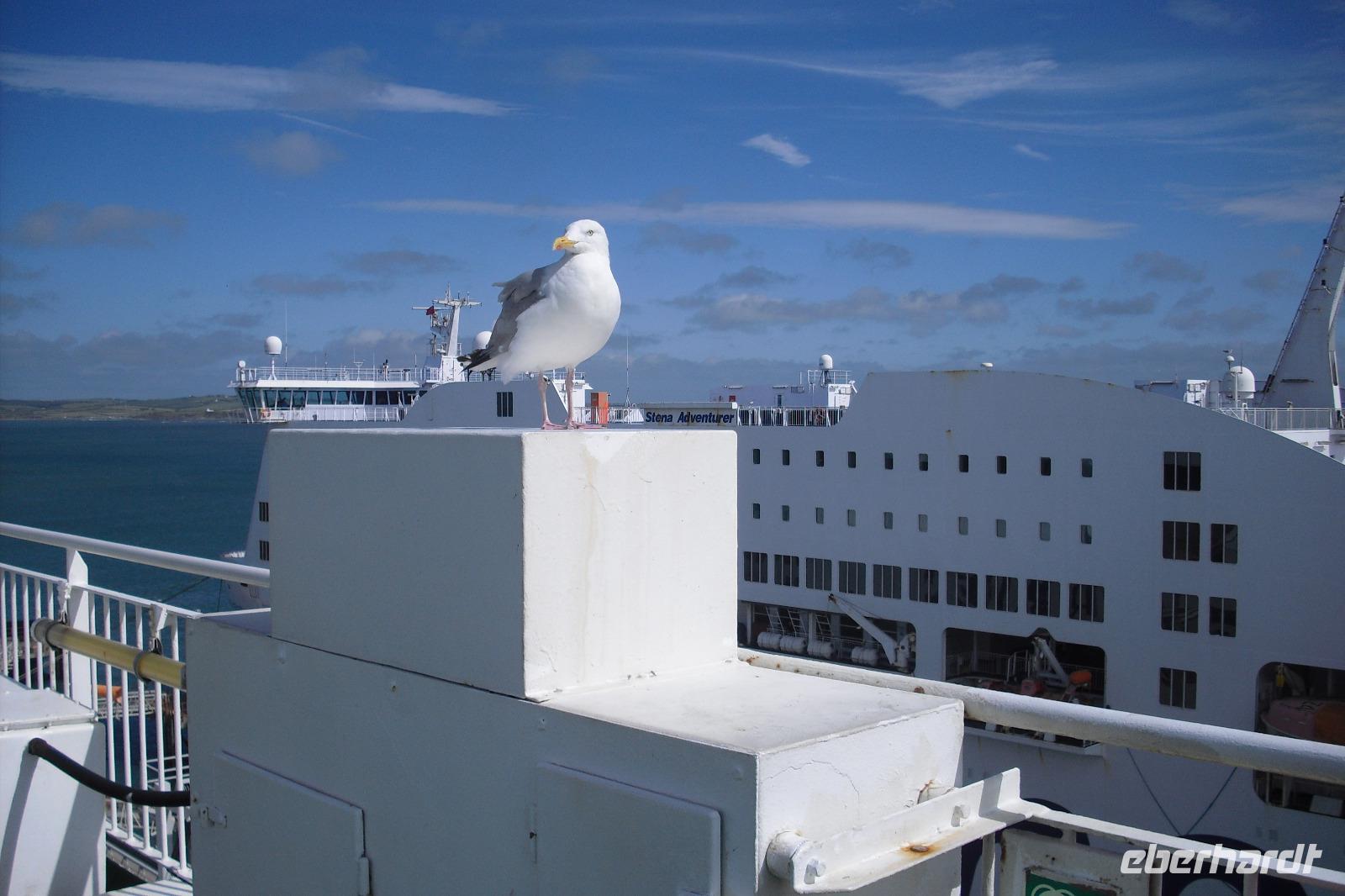 Sehnsucht nach Irland in Holyhead?