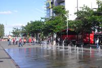 Stadtrundfahrt mit Willie in Belfast