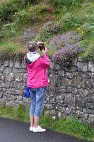 Fotomotive ohne Ende in Irland