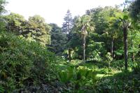 Glenveagh Nationalpark - Donegal
