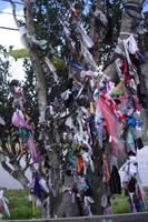 Killary Harbour, Ireland - ein 