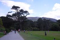 Muckross Garden, Killarney Nationalpark, Ireland