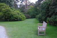 Muckross Garden, Killarney Nationalpark, Ireland