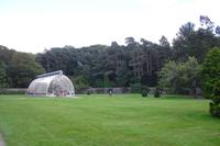 Muckross Garden, Killarney Nationalpark, Ireland