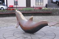 Dingle, Ireland ( Delphin Fungie )