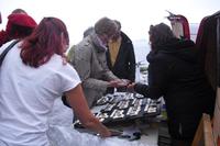 Am Blasket Sound - Dinglehalbinsel