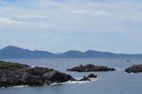 Am Strand von Castle Cove, Ring of Kerry, Irland (Delphine in der Bucht!?)