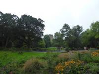 108-Blarney-Castle