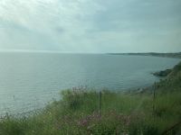13. Reisetag – Zugfahrt von Greystones nach Dublin