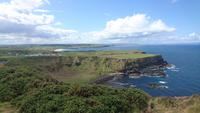 Blick über die Küste am Giants Causeway