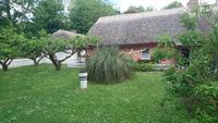 Im Folk Park von Bunratty Castle