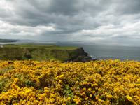 027-Giants_Causeway