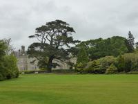 098-Muckross_House