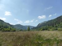 119-Glendalough