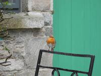 ein aufmerksamer Beobachter...