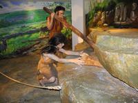 im Visitor Centrum von Ceide Fields