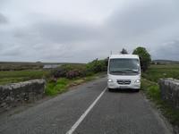 ...unser kleines Büsschen