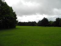 welch ein Rasen.....